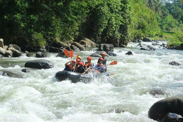 Paket Wisata Destinasi Kota Ngapak ( Pemalang, Tegal, Purwokerto, Kebumen, Purworejo) Berangkat Pagi